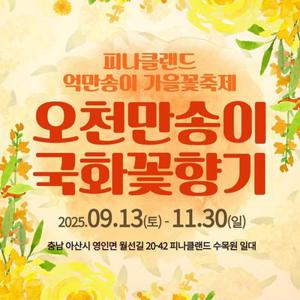 [충남] 2025년 피나클랜드 가을꽃축제
