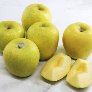 경북 안동 햇 시나노골드 황금 사과 (가정용) 2kg(7~16과), 3kg(10~21과), 5kg(12~31과)