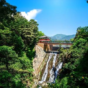 [1박2일] 충북 제천, 단양 레이크파크 둘레길 자연휴식 여행