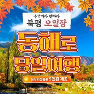 [당일여행] 동해/북평5일장/무릉계곡/추암해변
