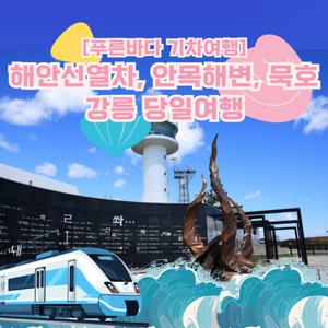 [당일여행] 강릉 해안선열차 기차여행 (동해~묵호, 안목해변, 동해 도째비골 스카이밸리)