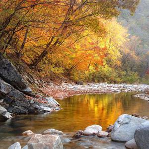 [당일여행] 인제 단풍 비경 필례계곡 단풍트레킹, 남대천 억새밭, 하조대 바다 당일여행