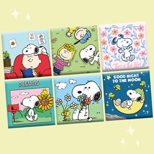 DIY 보석십자수 피너츠 스누피 캔버스형 REST 시리즈 25x25