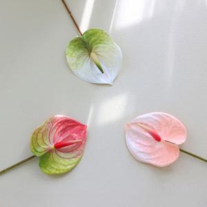 한송이 안스리움 가지조화 3-color