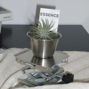 틸란드시아 이오난사 (Tillandsia ionantha) 스테인레스 베이스