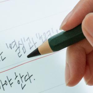 애플펜슬 낼나펜슬 아이패드용 펜촉 (코어/소프트/볼펜팁)