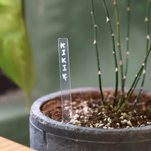 아크릴 투명 막대 이름표 네임픽 식물 화분 라벨 12p