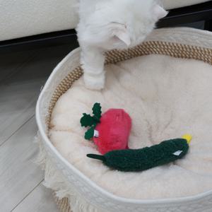 고양이 캣닙 공 볼 캣잎 장난감 캣닢 배지스 장난감
