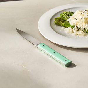 9.47 스테이크나이프 피스타치오