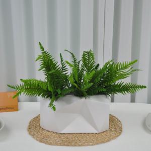 뉴 보스턴 부쉬 인테리어 소품 조화 그린 플랜 테리어 데코 식물 나무