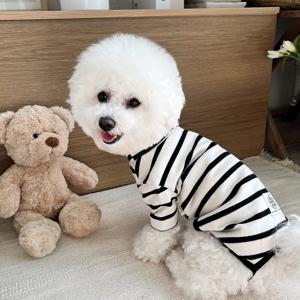 강아지 올인원 데일리 슬개골 보호 수트 가을 겨울 강아지옷 S