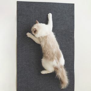 소파냥 붙이는 소파보호 고양이 스크래처 2m x 40cm