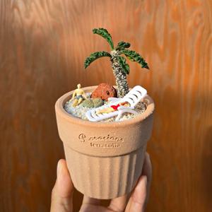 암보봄벤시스&리톱스 합식 + 로자리안 토분 가든팟8호 식재세트