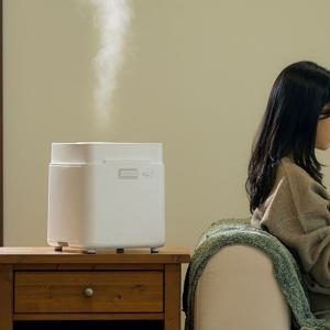 스텐 밥통 대용량 4L 신생아 가열식 가습기 저소음 침실 비염 건조 환절기 살균 가습기