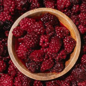 2025 햇 전라북도 정읍 슈퍼복분자 1kg 블랙베리 열매 생과 급냉 상품 특품