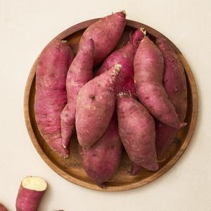 베니하루카 꿀고구마 세척 못난이 5kg
