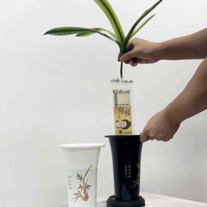 돈뽑는 난초 용돈박스 10장 반전 부모님 생신 칠순 환갑 이벤트 선물 추석용돈