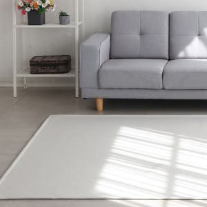 디에고 먼지없는 사계절 단모 거실 러그 카페트 5size 4color