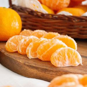제주 햇 노지 조생 감귤 2kg 3kg 5kg 10kg