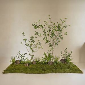 리얼수목 이끼마운팅 완제품 PM7 조화 플랜트박스