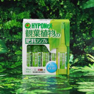하이포넥스 관엽식물주사액 액비 복합비료 식물 영양제
