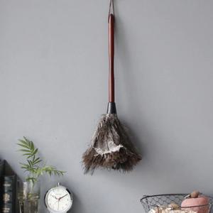 New 타조털 먼지털이개