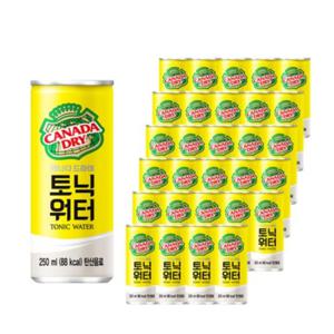 캐나다드라이 토닉워터 250ml