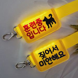 주문제작 강아지 야간 밤산책 리드줄 벨크로 LED 라이트 슬로건 메시지 스트랩 디자인특허