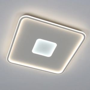 LED 에코 엘루즈 사각 방등 100W 거실등 플리커프리 간접조명 주광색 주백색 형광등