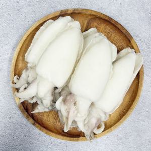 손질 냉동 갑오징어 홀크린 5kg 태국산 껍질 내장제거 벌크 업소용 숙회 짬뽕 무침