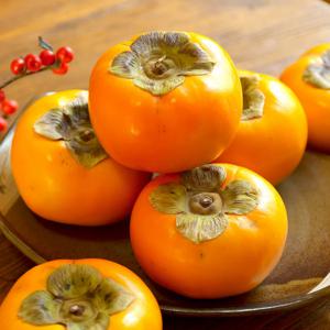 햇 단감 상서 부유 창원 진영 진주 문산 농장 1kg 5kg 10kg