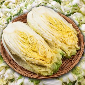 예약배송! 품질보장 HACCP 해남 김장 절임배추 20kg (7-10포기)