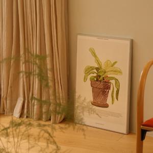 반려식물 박쥐란 포스터 A3 A2