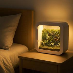 정린네 모글모글 완제품 테라리움 비바리움 식물등 이끼 감성조명 플랜테리어 V1