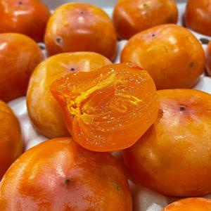 경북 햇 씨없는 감 청도 반시 홍시 2.5kg 5kg