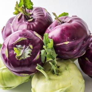 국내산 콜라비 특품 보라색 무 무우 2kg 3kg 5kg 10kg