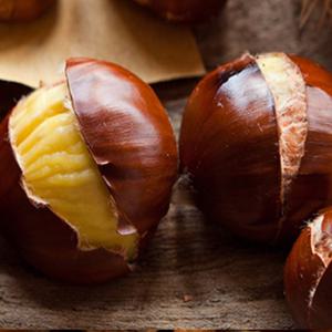 25년 달콤 고소한 부여 햇 포르단밤 1kg