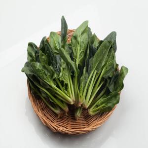 경남 김해 하우스 시금치 1kg
