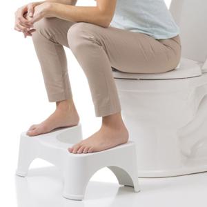 변기의자 스쿼티포티/쾌변 도우미/화장실/배변/고급형