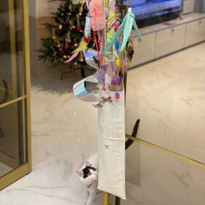 [리퍼]카샤카샤 고양이 낚싯대장난감 보관함 걸이 빅사이즈