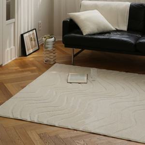 거실카페트 아요나 먼지없는 워셔블 극세사 디자인 대형 거실 러그