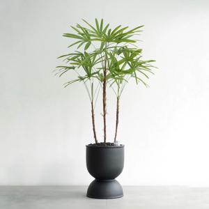 서황금 MB-2 무광 블랙 화분 무늬관음죽 고급화분 인테리어화분