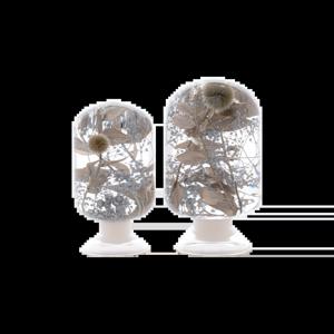 피스오브타임 pieces of time - 실버포레스트