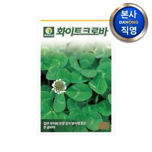 화이트 크로바 씨앗 1kg . 클로버 크로버 토끼풀 토양 침식 잡초 방지 씨 종자