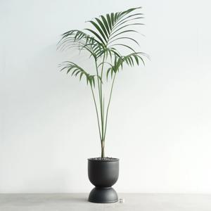 켄차야자 MB-2 무광 블랙 화분 겐차야자 특대형화분 거실인테리어 대형식물