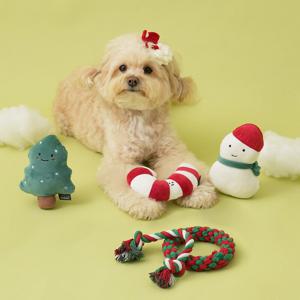 펫본 크리스마스 올인원 5P 선물세트