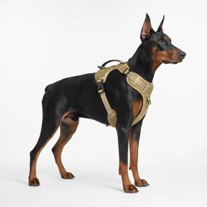 원포켓 하네스 중형견 대형견 가슴줄 NPFCS010