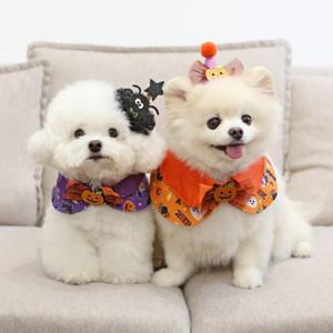 디즈니 할로윈 케이프