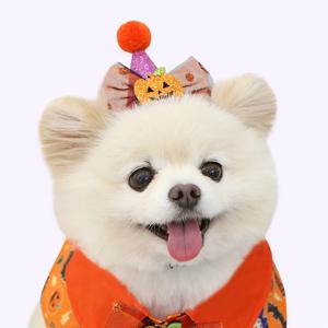 할로윈 고깔 모자