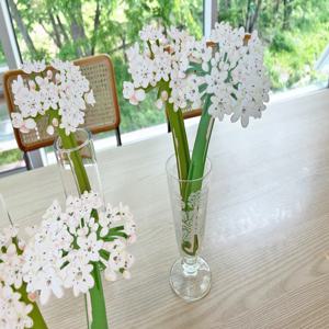 페이퍼플라워 코와니